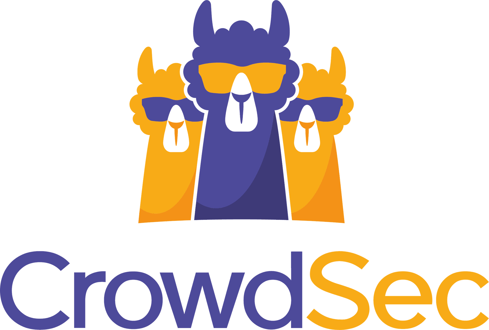 Migration de NPM vers NPMplus avec CrowdSec et MaxMind