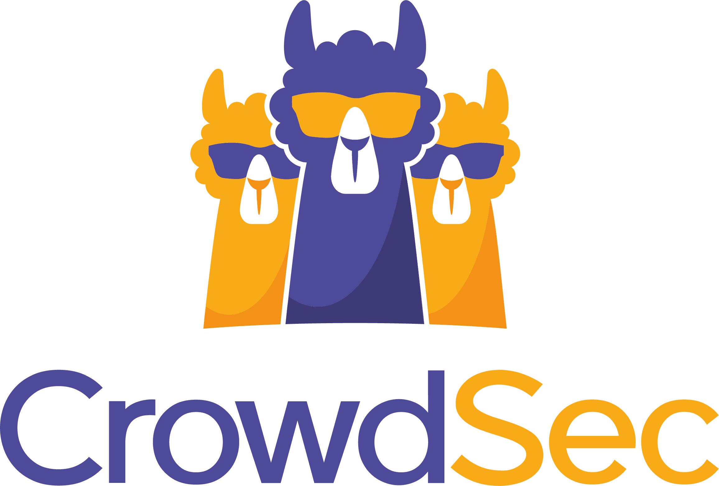 Migration de NPM vers NPMplus avec CrowdSec et MaxMind
